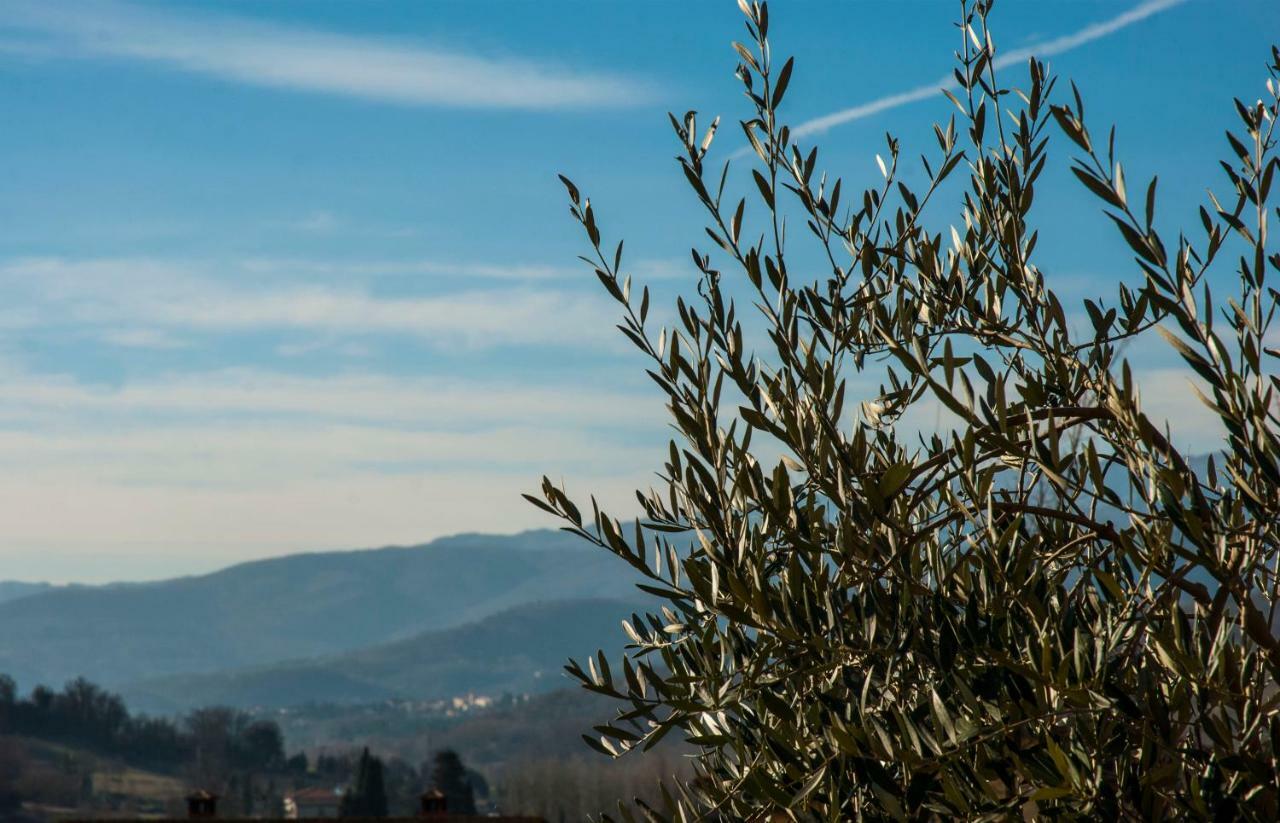 "La Casetta" Pratovecchio Exterior foto